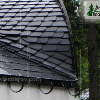 Slanec Rassudovo 2010 9