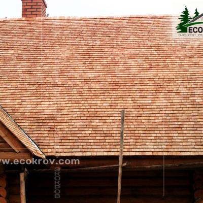 Holzschindeln Brest 2005 3