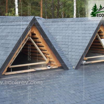 Slanec Gorki 2 2012 10