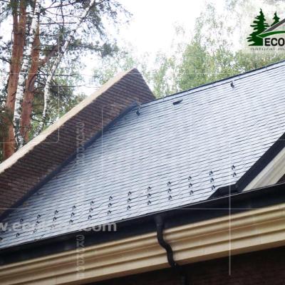 Slanec Gorki 2 2012 12