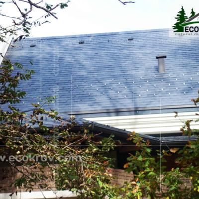 Slanec Gorki 2 2012 15