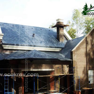 Slanec Gorki 2 2012 16