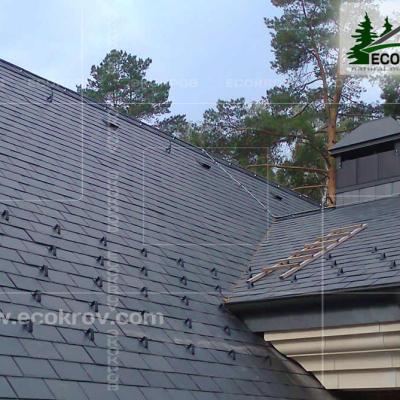 Slanec Gorki 2 2012 21