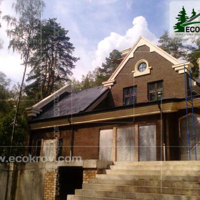 Slanec Gorki 2 2012 23