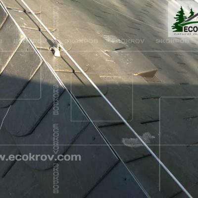 Slanec Gorki 2 2012 25