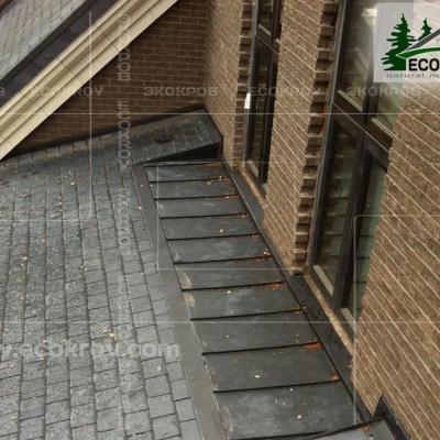 Slanec Gorki 2 2012 26