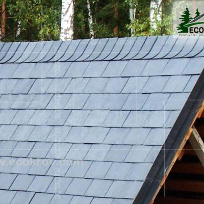 Slanec Gorki 2 2012 27