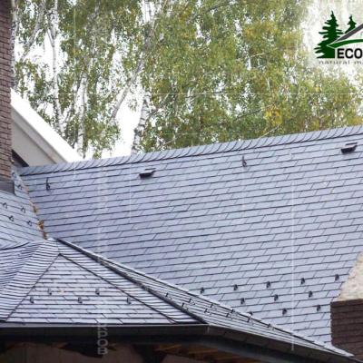 Slanec Gorki 2 2012 3