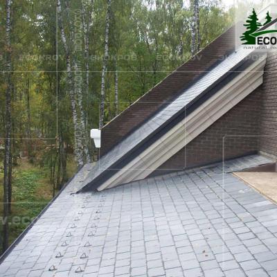 Slanec Gorki 2 2012 4