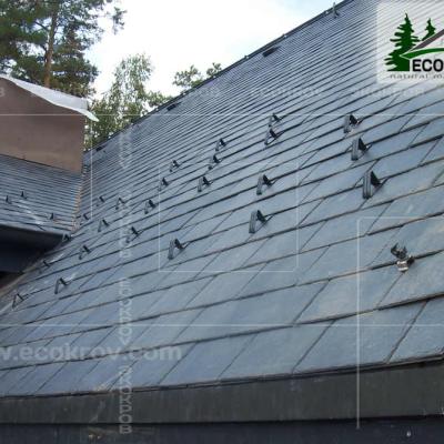 Slanec Gorki 2 2012 5