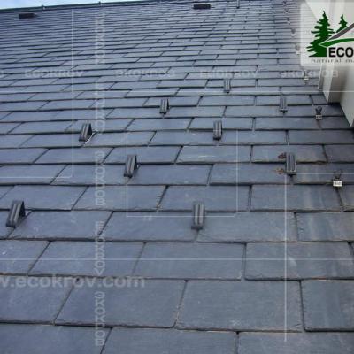 Slanec Gorki 2 2012 6