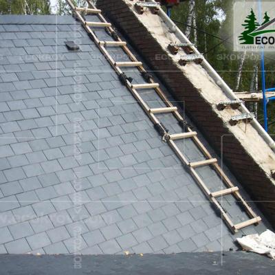 Slanec Gorki 2 2012 7