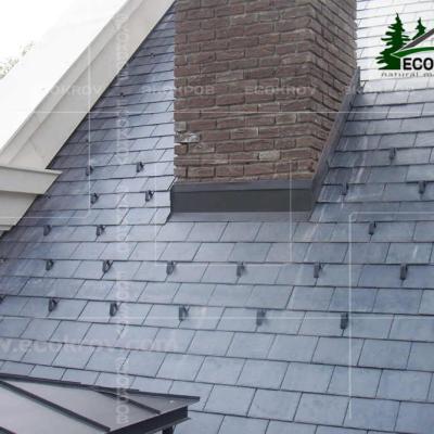 Slanec Gorki 2 2012 8