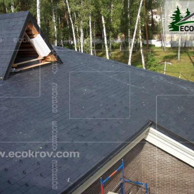 Slanec Gorki 2 2012 9