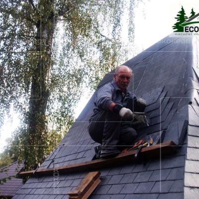 Slanec Korolev 2012 12