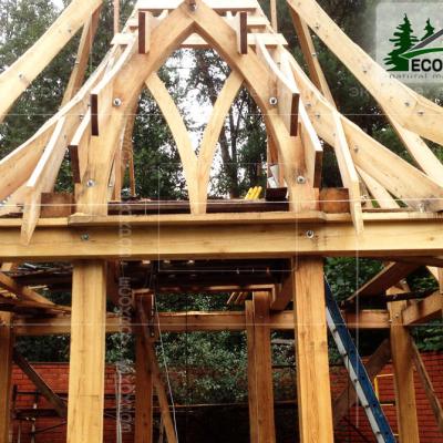 Slanec Korolev 2012 1