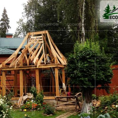 Slanec Korolev 2012 2