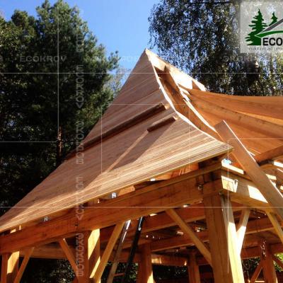 Slanec Korolev 2012 3