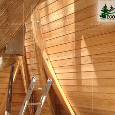 Slanec Korolev 2012 4