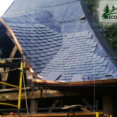 Slanec Korolev 2012 5