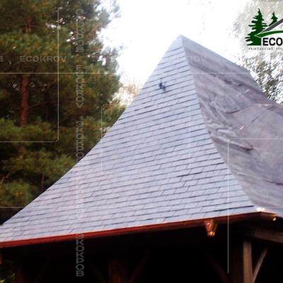 Slanec Korolev 2012 7