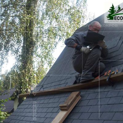 Slanec Korolev 2012 8