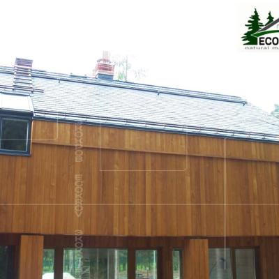 Slate Troizk 2013 04