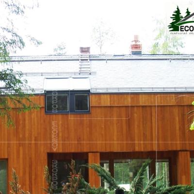 Slate Troizk 2013 05