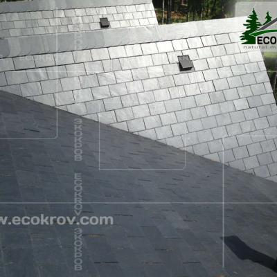 Slanec Gorki2 2013 10