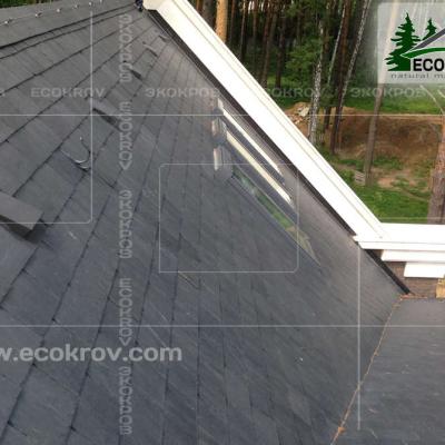 Slanec Gorki2 2013 11