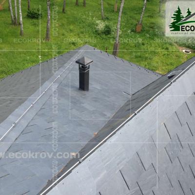 Slanec Gorki2 2013 12