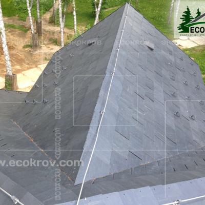 Slanec Gorki2 2013 13