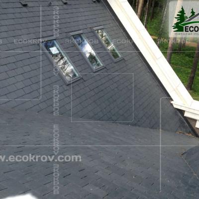 Slanec Gorki2 2013 14