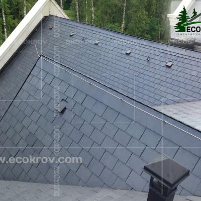 Slanec Gorki2 2013 15