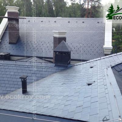 Slanec Gorki2 2013 16