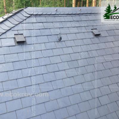 Slanec Gorki2 2013 17