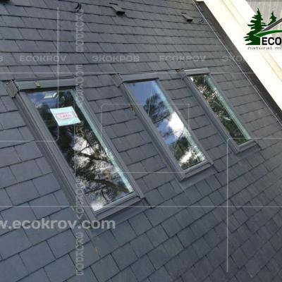 Slanec Gorki2 2013 18