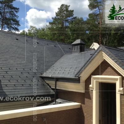 Slanec Gorki2 2013 1