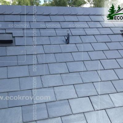 Slanec Gorki2 2013 20