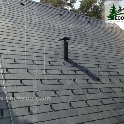 Slanec Gorki2 2013 3