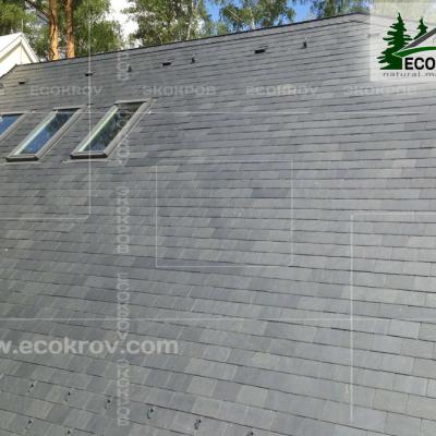 Slanec Gorki2 2013 4