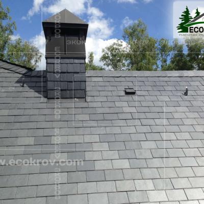 Slanec Gorki2 2013 5