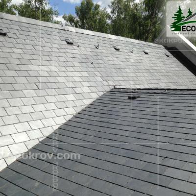 Slanec Gorki2 2013 6