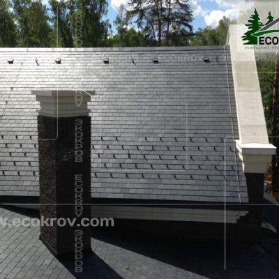 Slanec Gorki2 2013 7