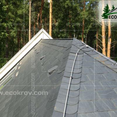 Slanec Gorki2 2013 8