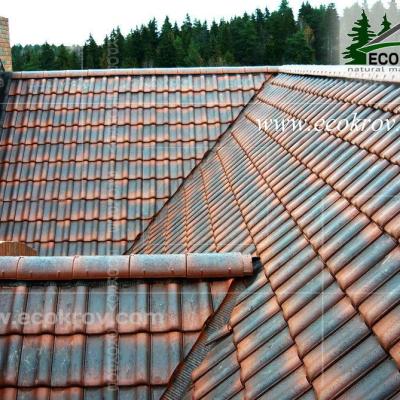 Ceramica Maksimovka 05