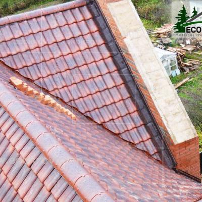 Ceramica Maksimovka 06