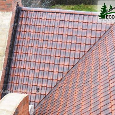 Ceramica Maksimovka 08