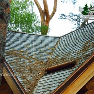 Schindeln Nikgora 02