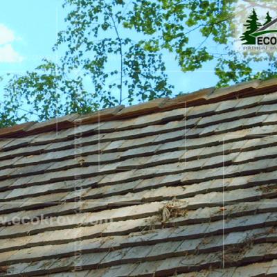 Schindeln Nikgora 04